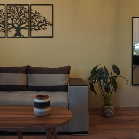 Homesweethome Apartments テッサロニキ エクステリア 写真